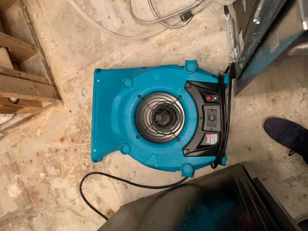 Air mover drying equipment for Mold Remediation & Removal in Temple Hills