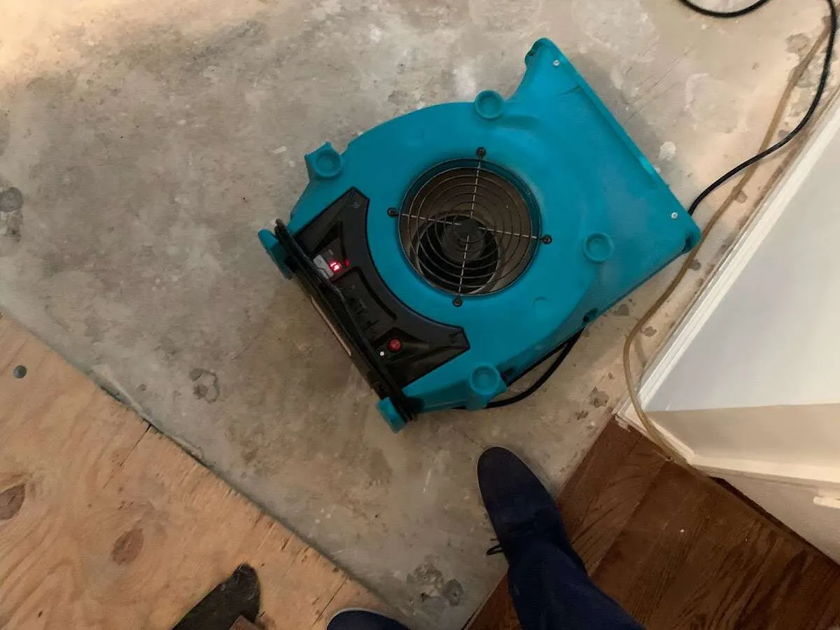 Air mover drying subfloor during Commercial Water Damage Restoration in Temple Hills